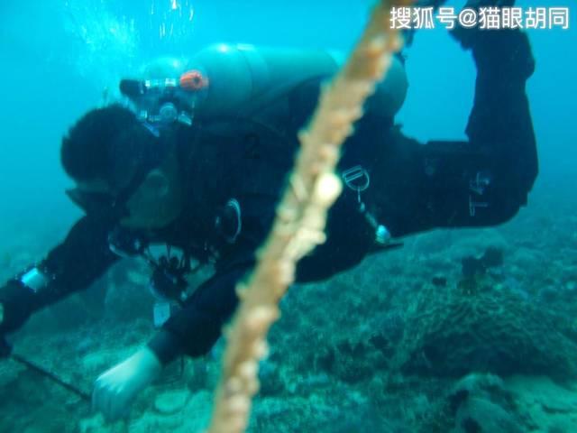 “蓄得住水、灌得到田、上得了山” 粮食安全水利基础不断夯实